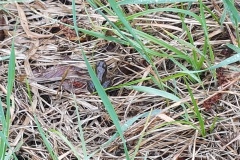 20190515_155037