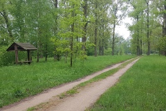 20190515_155318