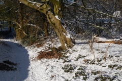 Kopie-von-P1000191