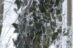 P1000208