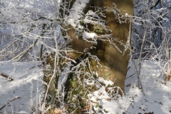 P1000222