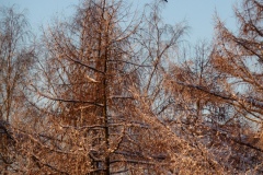 P1000225