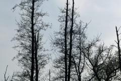 P1100858