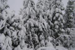 115_1504-min