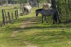 20220421_103258-min