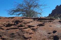 IMG-20250424-WA0007-min