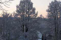 P1000209-min