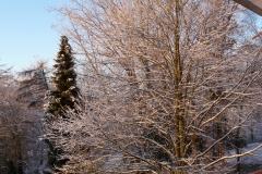 P1000224-min