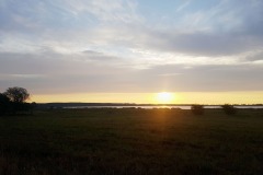 20200820_062412-min