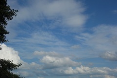 DSC00478
