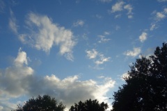 DSC00484