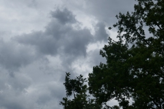 P1100869