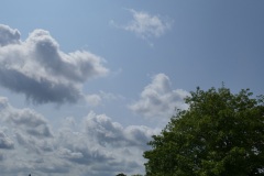 P1110010