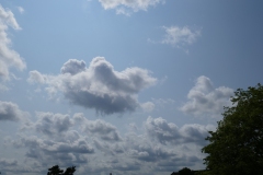 P1110011