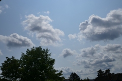 P1110012