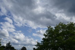 P1110014