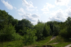 P1110015