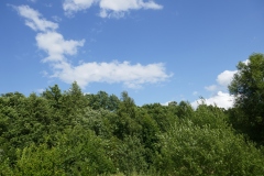 P1110016