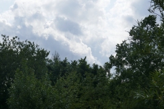 P1110018